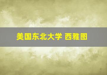 美国东北大学 西雅图